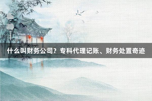 什么叫财务公司？专科代理记账、财务处置奇迹
