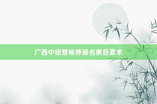 广西中级管帐师报名条目要求