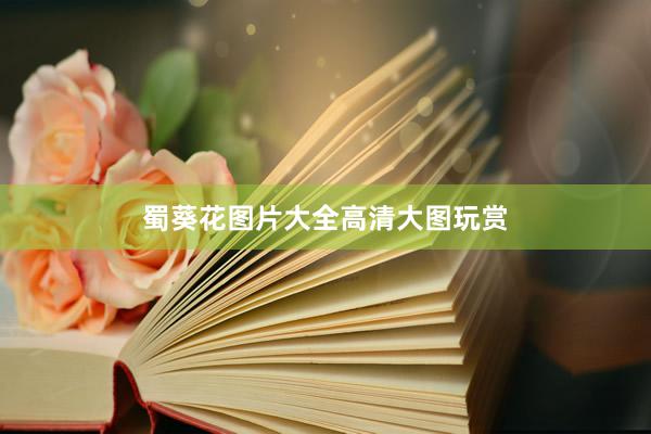 蜀葵花图片大全高清大图玩赏