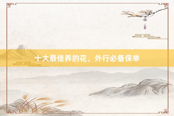 十大最佳养的花，外行必备保举