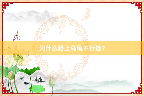 为什么路上乌龟不行捡？